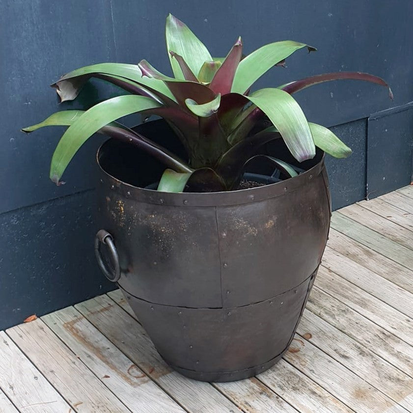 Sahar Lotus Iron Planter - Small