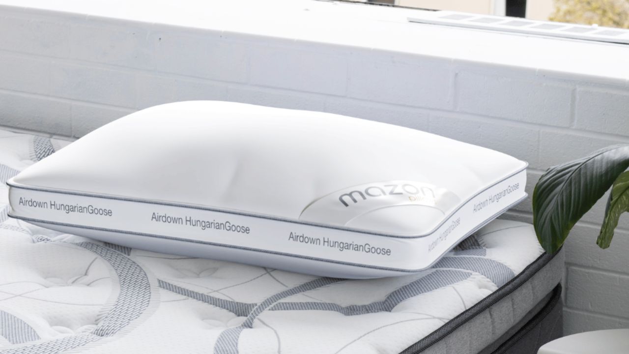 Airdown HungarianGoose Pillow