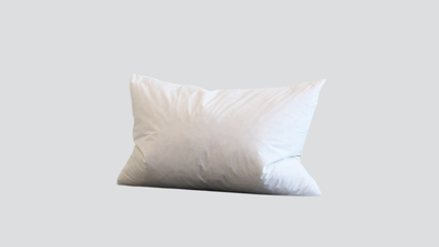 Feather Cushion Inner 45x65cm