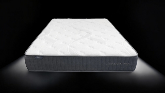 Sleepmax X-Firm S Edge Foam Encased Mattress Only