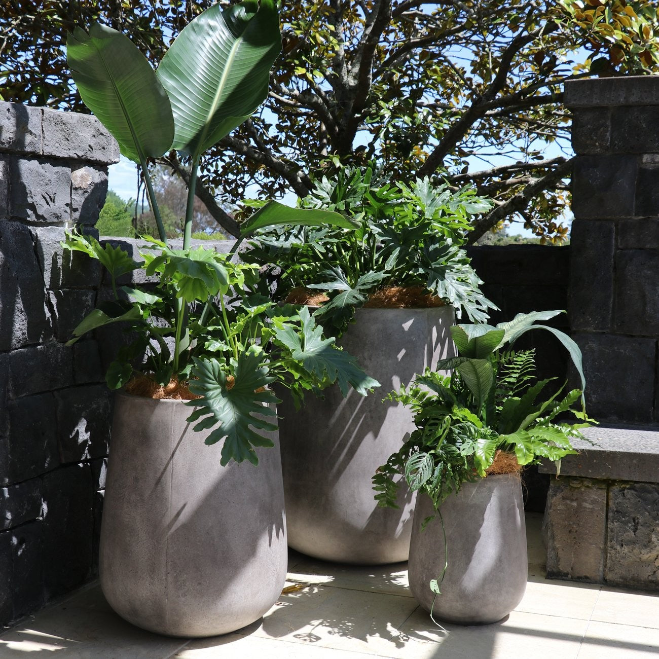 Karamea Weathered Cement Planter