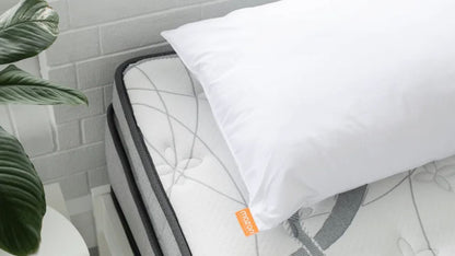 Comfort Plus Hi-loft Pillow