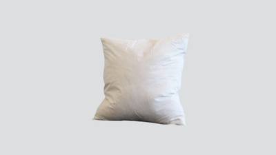 Feather Cushion Inner 55x55cm