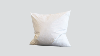 Feather Cushion Inner 70x70cm