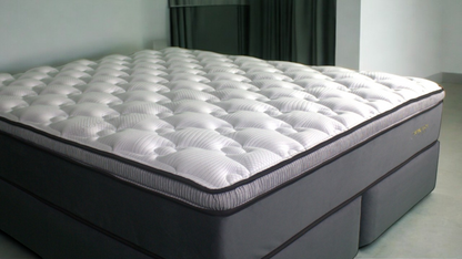 Spinetech Plus Mattress Only